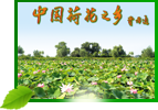 &#20061;&#28216;&#65288;&#78;&#73;&#78;&#69;&#71;&#65;&#77;&#69;&#65289;&#20013;&#22269;&#22823;&#38470;&#25163;&#26426;&#23089;&#20048;&#31532;&#19968;&#38376;&#25143;&#32;&#45;&#32;&#23448;&#26041;&#32593;&#31449;